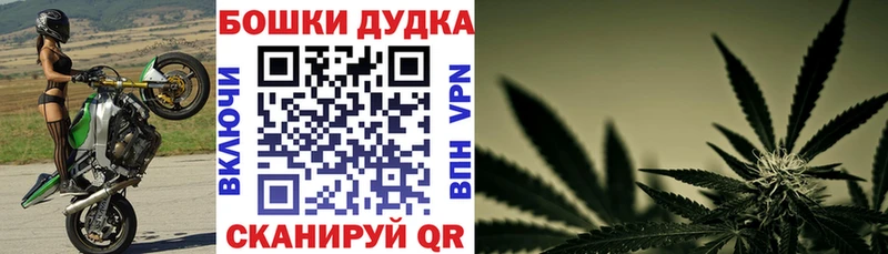 Конопля семена  Купить где  Белая Калитва 